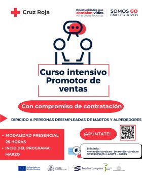 Curso Intensivo Promotor de Ventas